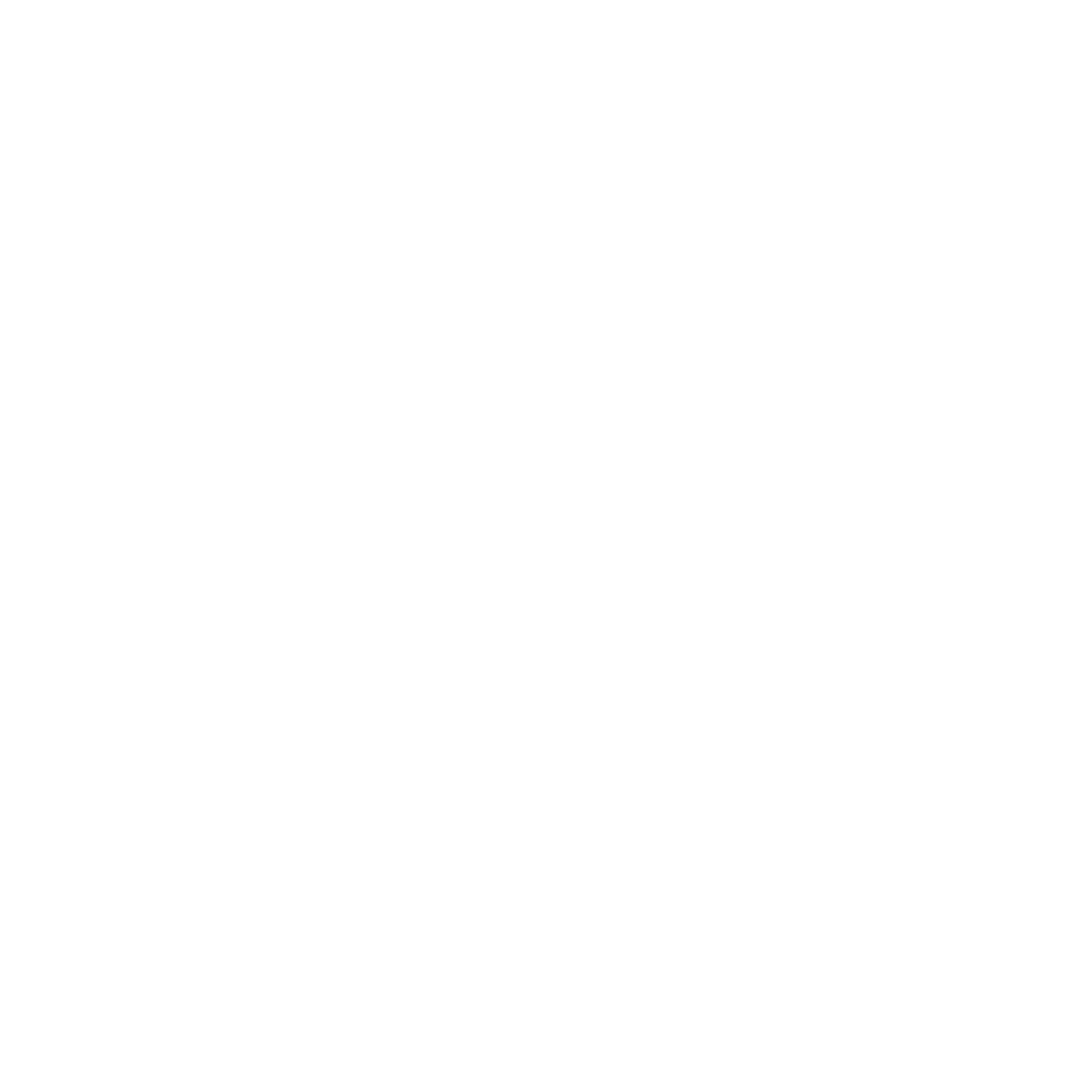 icononly_transparent_nobuffer_white